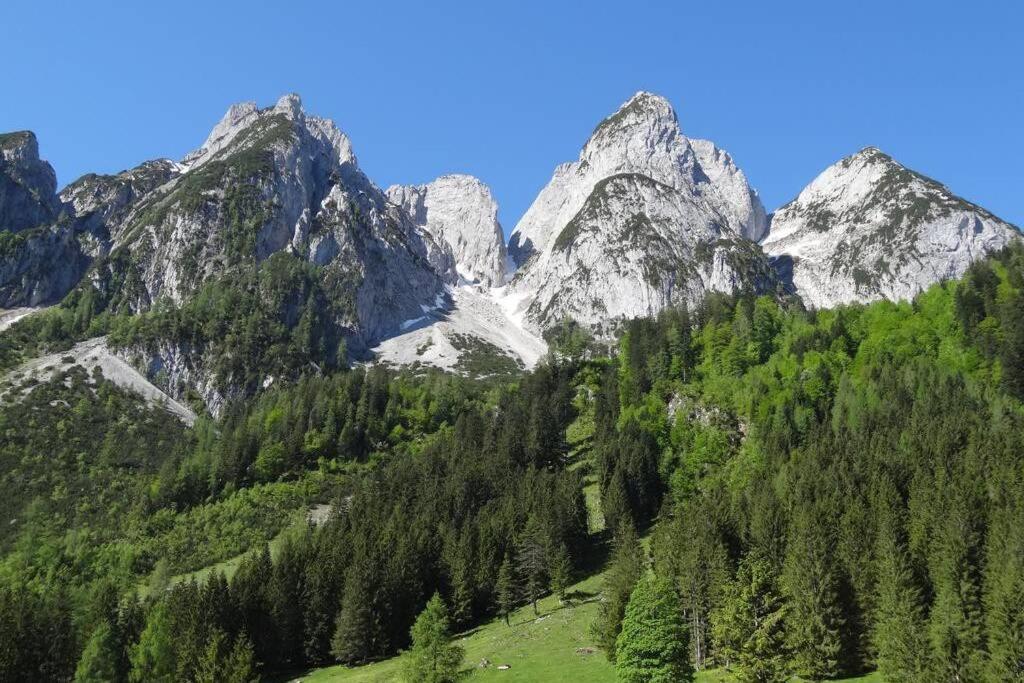 Das Almsternderl - Gemuetliche Wohnung In Gosau Exterior photo