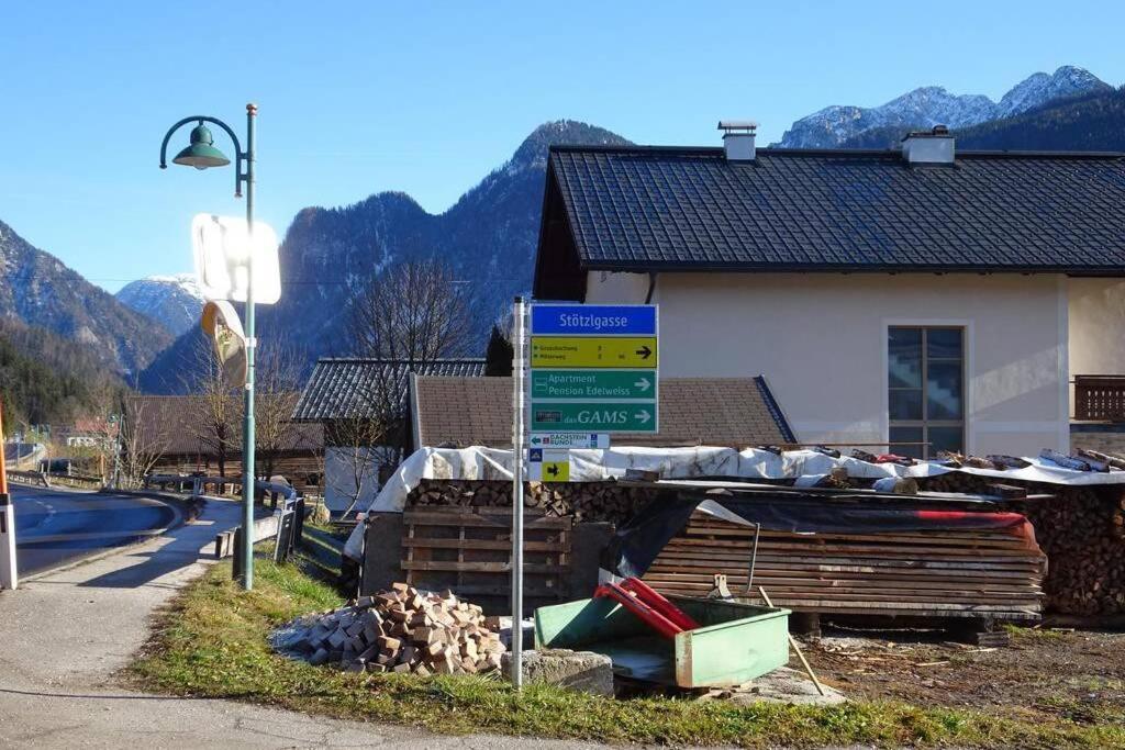 Das Almsternderl - Gemuetliche Wohnung In Gosau Exterior photo